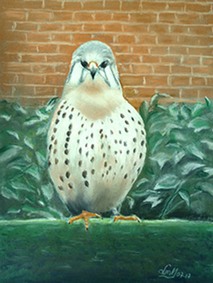 mildred's falcon