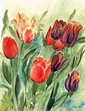 aquarelle